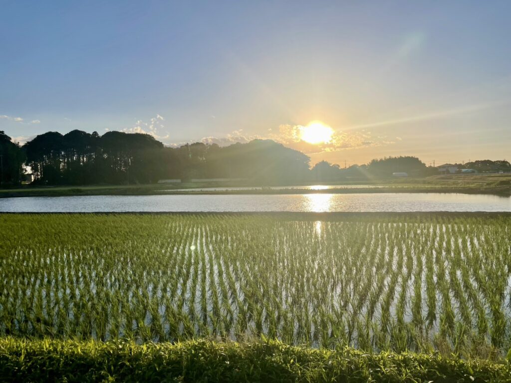 画像に alt 属性が指定されていません。ファイル名: %E5%86%99%E7%9C%9F%E2%91%A1-003-1024x768.jpg